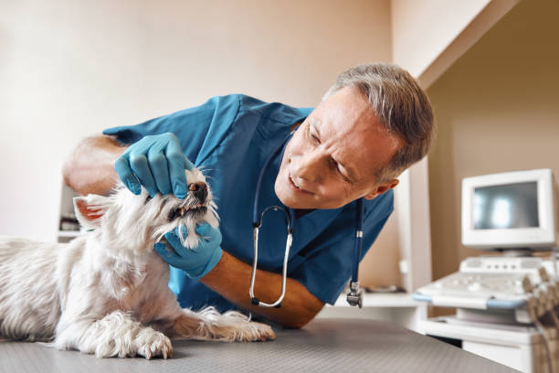 Best Pediatric Emergency Dentist in Granite, OK